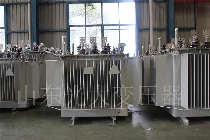 岱山S20-500KVA/10KV